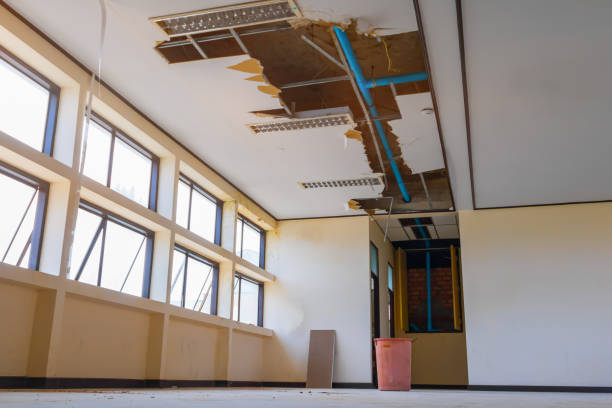 Best Water damage restoration experts  in Douglas, AL