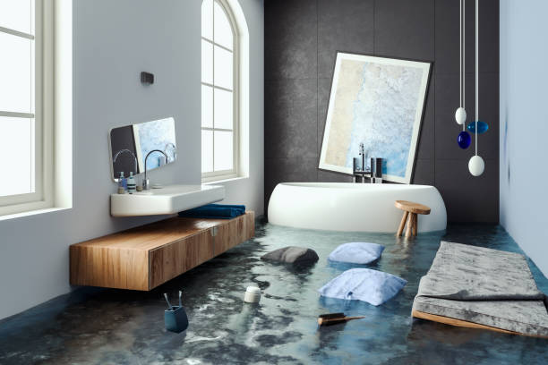 Best Professional water damage repair  in Douglas, AL