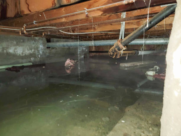Local water damage restoration in Douglas, AL