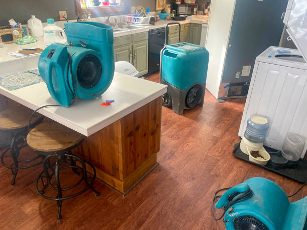 Best Water damage restoration specialists  in Douglas, AL