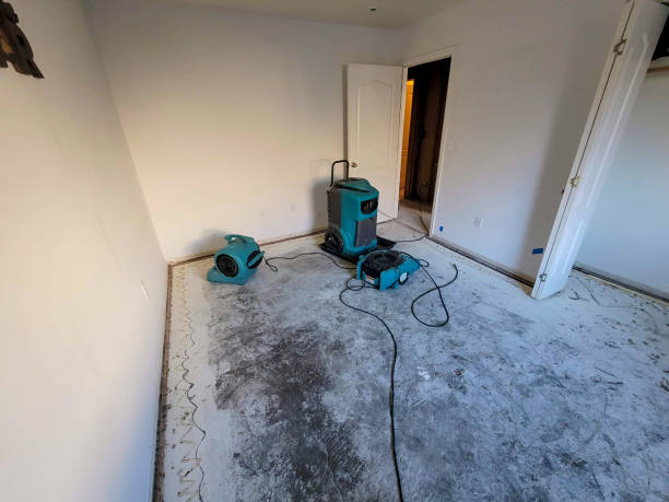 Best Water damage restoration near me  in Douglas, AL