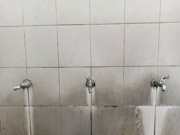 Best Water damage repair service  in Douglas, AL
