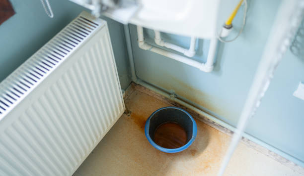 Best 24/7 water damage repair  in Douglas, AL