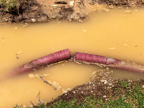 Best Carpet water damage restoration  in Douglas, AL